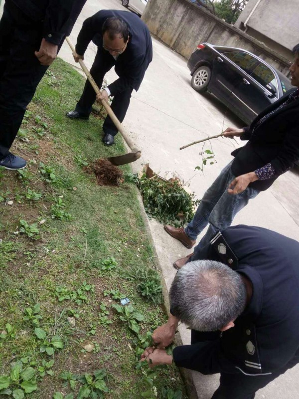 鮮水花園小區植樹(shù)活動(dòng)
